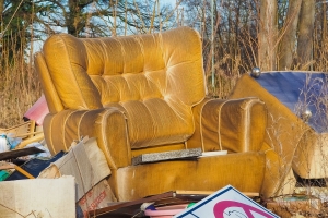 Lomtalanítás Kapuváron